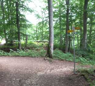 Burg Alt-Lichtenstein