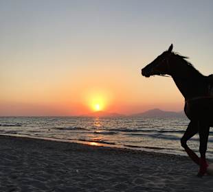 Strand Marmari