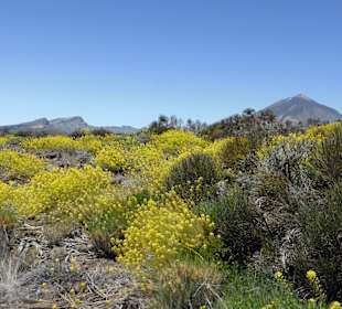 Teide Nationalpark