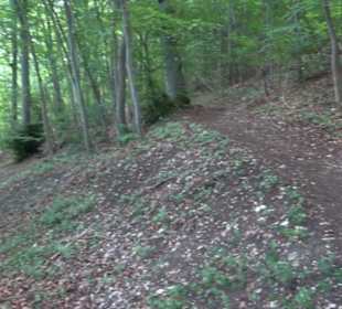 Premiumwanderweg "hochgelegen"