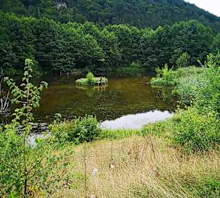Wandern Dietfurt an der Altmühl