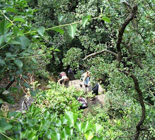 Abwechslungsreicher Weg