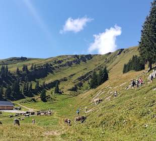 Wandern Oberstaufen