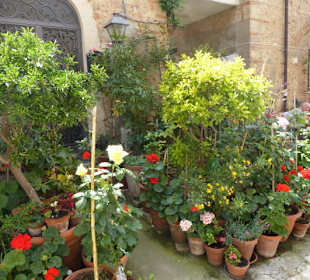 Eingangsbereiche liebevoll gestaltet