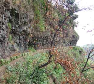 Absolute Schwindelfreiheit erforderlich