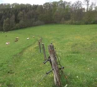 Premiumwanderweg Hochgebürzelt