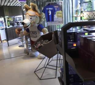 FIFA World Football Museum