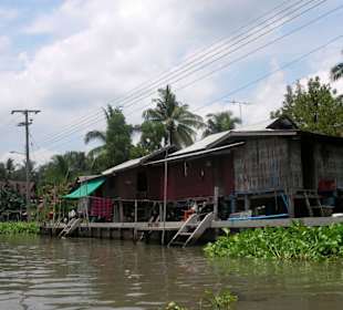Leben am Klong