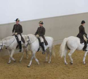 Spanishe Hofreitschule