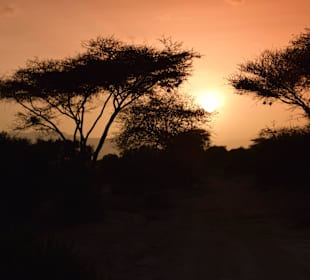 Sonnenuntergang im Tsavo Ost