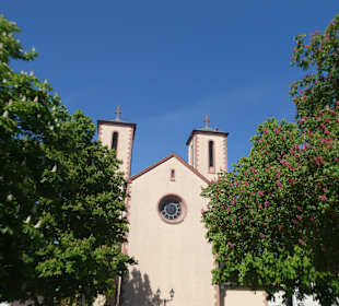 Die St. Peterskirche am Obermarkt von Gelnhausen