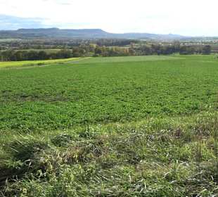 Kaiser- und Keltenrunde Stockach