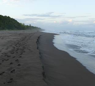 Strand Tortuguero