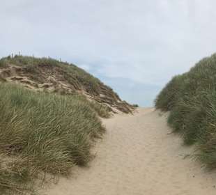 Strand Egmond aan Zee