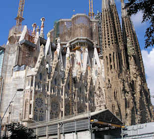 Sagrada