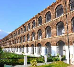Cellular Jail