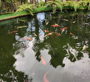 Monte Palace Tropical Garden