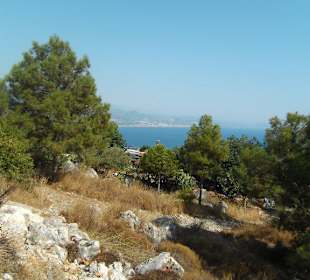 Aussicht von der Burg 