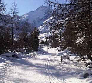 Unverfälschte Natur