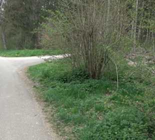 Wanderweg Kunst der kleinen Schritte