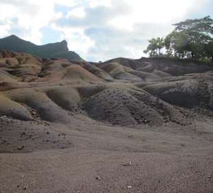 So sieht es aus dort