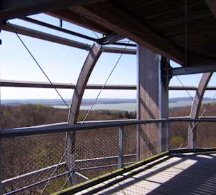 Ausflug zum Baumwipfelpfad