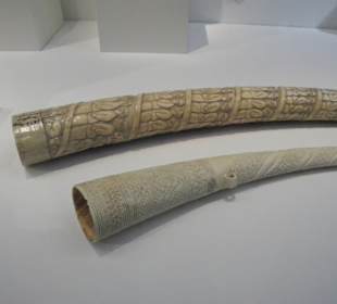 Stosszähne mit schönen Verzierungen