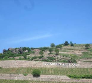 Fähre Bingen-Rüdesheim-Bingen