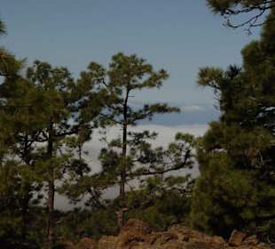 Auf dem Weg zum Teide