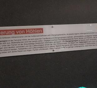 HöhlenSchauLand Hürben