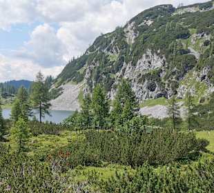 Tauplitzalm