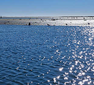 Parque Natural da Ria Formosa