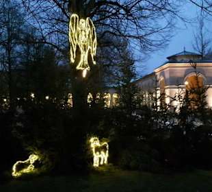 Weihnacht - Impressionen im Kurpark