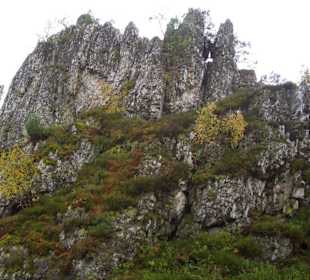 Naturschutzgebiet Großer Pfahl