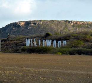 Williwood Schriftzug 