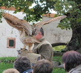 Flugshow Falkenhof Augustusburg
