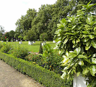  Schlosspark Mosigkau