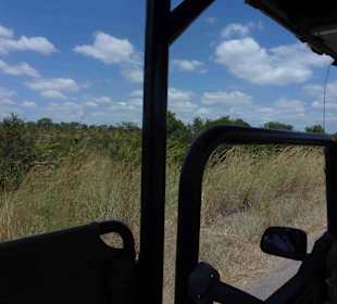 Krüger Nationalpark