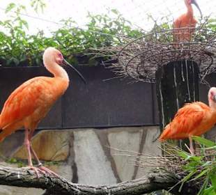 Zoologischer Garten 2016