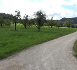 Hochgehnießen - Premiumspazierwanderweg