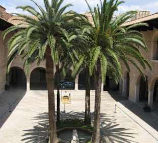 Palastinnehof - Palma