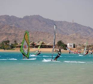 Surfer in Dahab