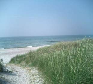 Dünenweg bei Ahrenshoop