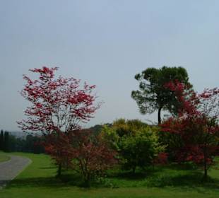 Sigurta Parco Giardino