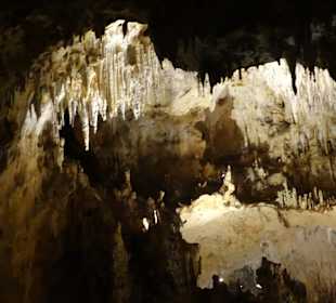 Tour & Ausflug Bayahibe