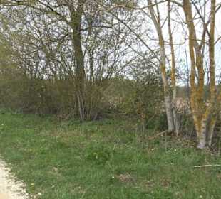 Vulkankrater-Rundweg Apfelstetten