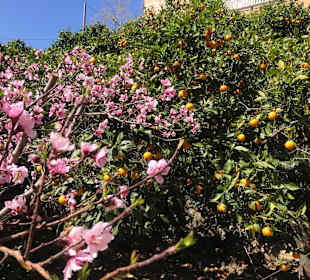Wanderung Valldemossa