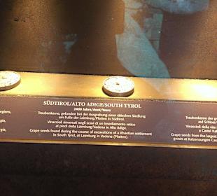 Traubenkerne im Tabernaculum