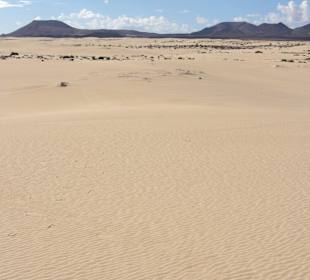 Impressionen aus der Dünenlandschaft