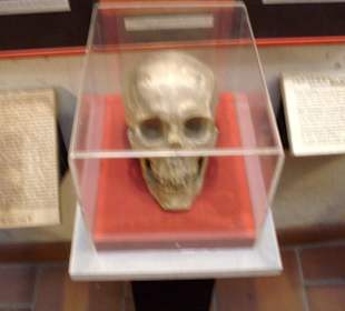 Ausstellungsstück